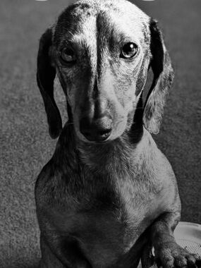 Meet your Posher, MessToLess